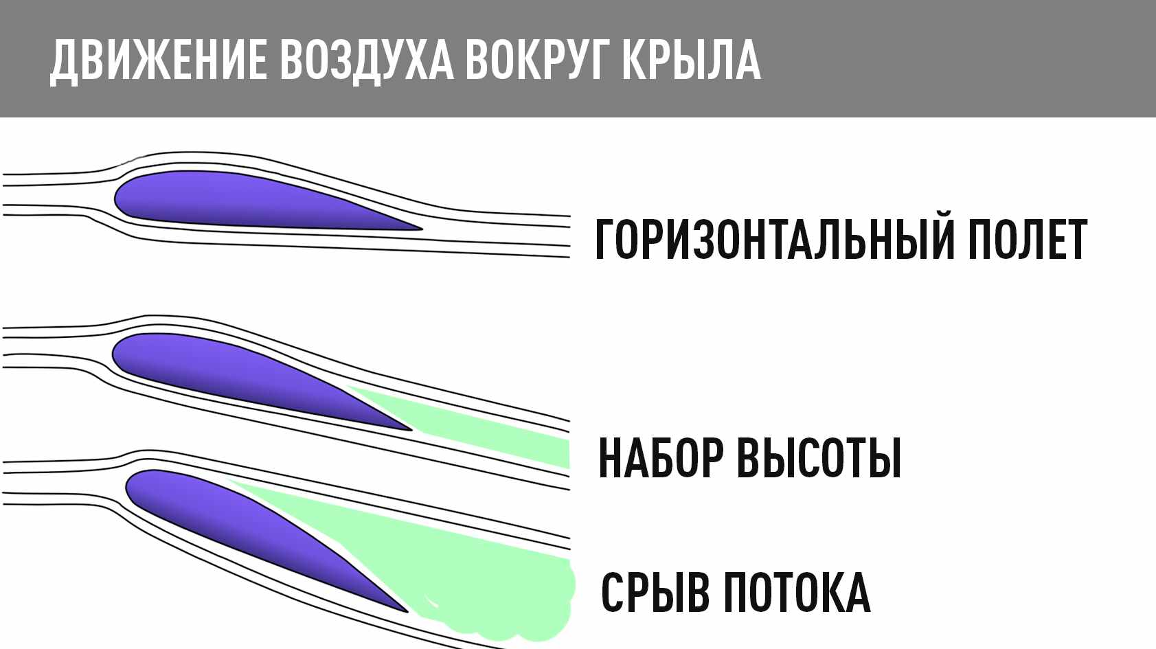 Flayradar24 движение. Движение потока воздуха вокруг крыла самолета. Подъемная сила крыла. Движение потоков воздуха около крыла дозвукового самолета. Аэродинамика крыла подъемная сила.